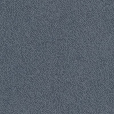 Maxwell Fabrics TOP GRAIN-NJ # 860 SEA