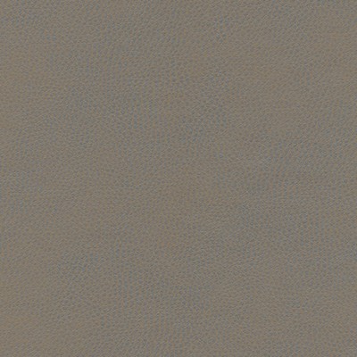 Maxwell Fabrics TOP GRAIN-NJ # 863 LUSITANO