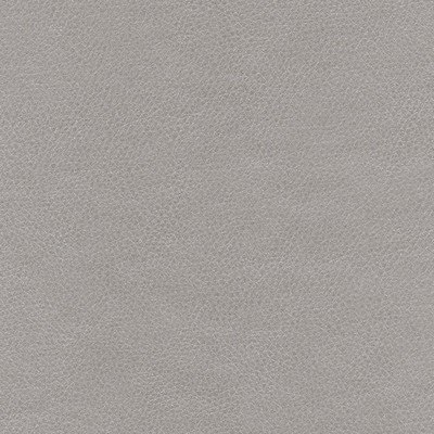 Maxwell Fabrics TOP GRAIN-NJ # 869 BARB