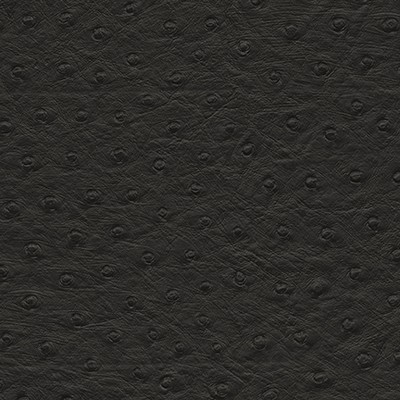 Maxwell Fabrics TWITTER-NJ # 291 JET