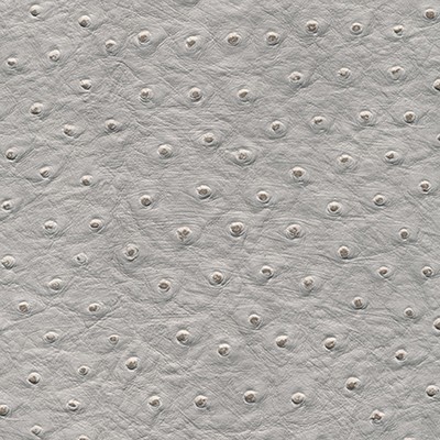 Maxwell Fabrics TWITTER-NJ # 297 HORIZON