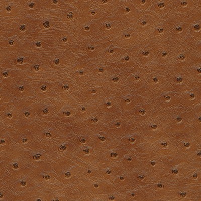 Maxwell Fabrics TWITTER-NJ # 300 GINGER