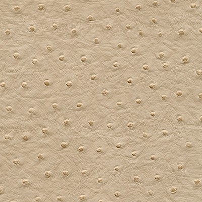 Maxwell Fabrics TWITTER-NJ # 305 HUSK