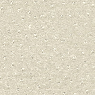 Maxwell Fabrics TWITTER-NJ # 306 DAISY