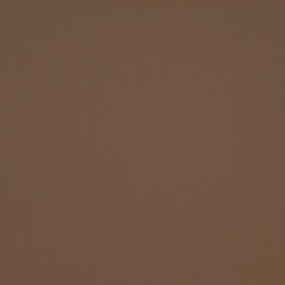 Maxwell Fabrics TRAILRIDER 107 TAN