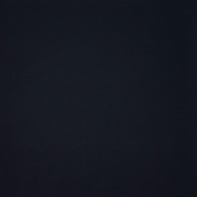 Maxwell Fabrics TRAILRIDER 111 BLUEBERRY