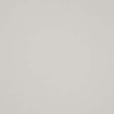 Maxwell Fabrics TRAILRIDER 117 WHITE