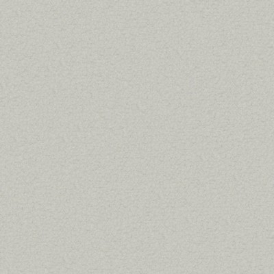 Maxwell Fabrics TEXEL # 924 COTTON