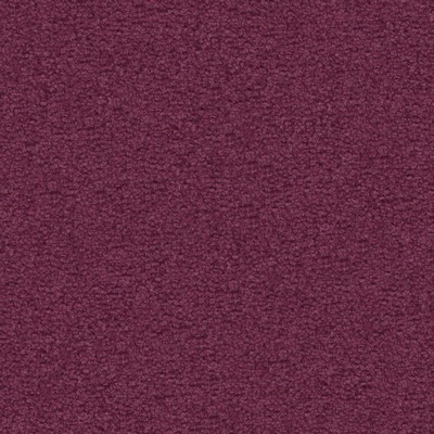Maxwell Fabrics TEXEL # 963 VIOLET