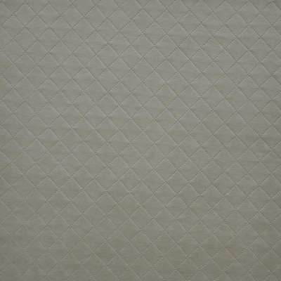 Maxwell Fabrics VOILA                          255 BARLEY             