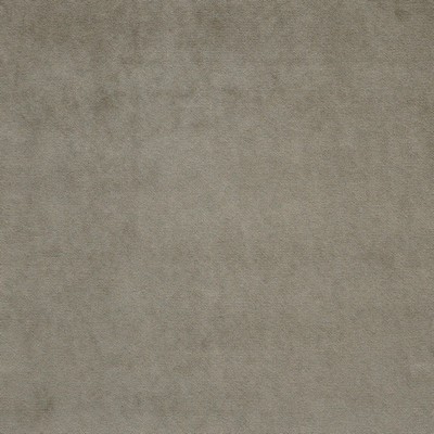 Maxwell Fabrics VERA # 939 DOE