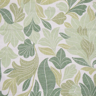 Maxwell Fabrics VALIANT 352 MOJITO