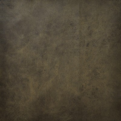 Maxwell Fabrics WADI                           126 FUDGE              