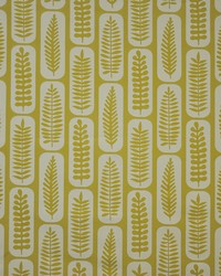 Maxwell Fabrics Windermere(new) 320 Marigold Fabric