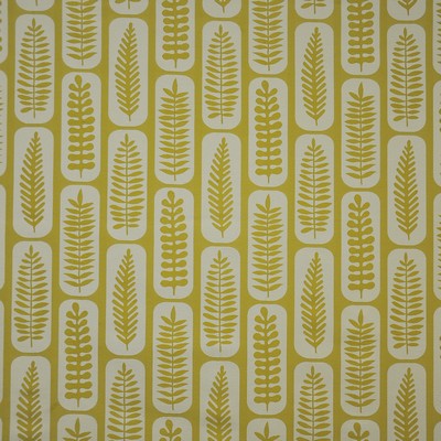 Maxwell Fabrics WINDERMERE(NEW)                320 MARIGOLD           
