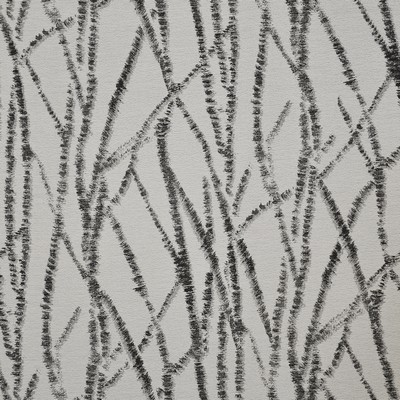 Maxwell Fabrics WYTHE                          # 608 AFRICAN GREY       