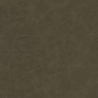 Maxwell Fabrics WARDEN-NJ # 1003 PINECONE