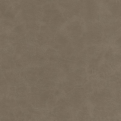 Maxwell Fabrics WARDEN-NJ # 994 GREY HOUND