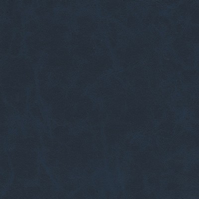 Maxwell Fabrics WARDEN-NJ # 998 PACIFIC