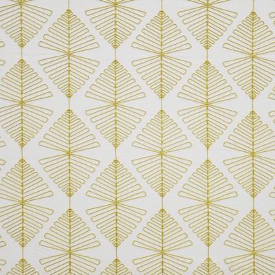 Maxwell Fabrics YUCCA                          # 426 STARFRUIT          