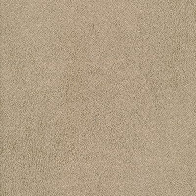 Maxwell Fabrics YUCATAN-NJ # 800 VILLA