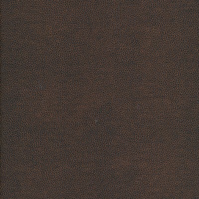 Maxwell Fabrics YUCATAN-NJ # 805 SABLE