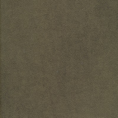 Maxwell Fabrics YUCATAN-NJ # 810 BRUSH