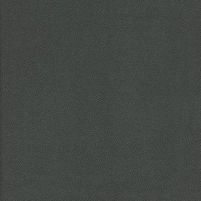 Maxwell Fabrics YUCATAN-NJ # 813 OTTER