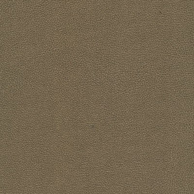 Maxwell Fabrics YUCATAN-NJ # 815 WALKWAY