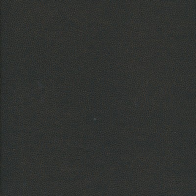 Maxwell Fabrics YUCATAN-NJ # 816 MOREL