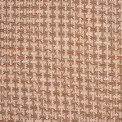 Maxwell Fabrics YORKVILLE 803 GRAPEFRUIT