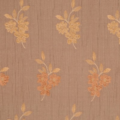 RM Coco BRULEE SIERRA