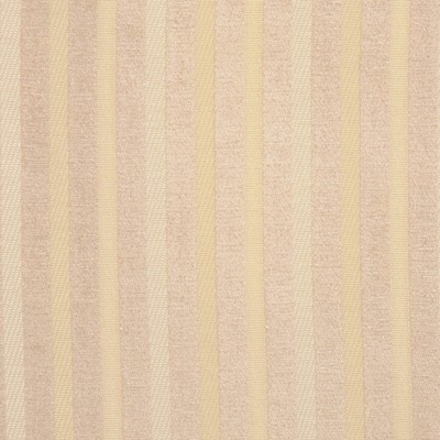 RM Coco DICKENS SHELL