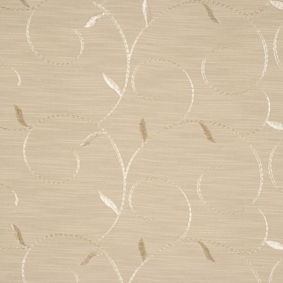 RM Coco INFINITY PARCHMENT