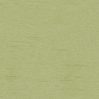 RM Coco Keepsakes Lizzard