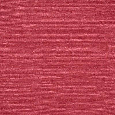 RM Coco FANFAIR PRIMROSE