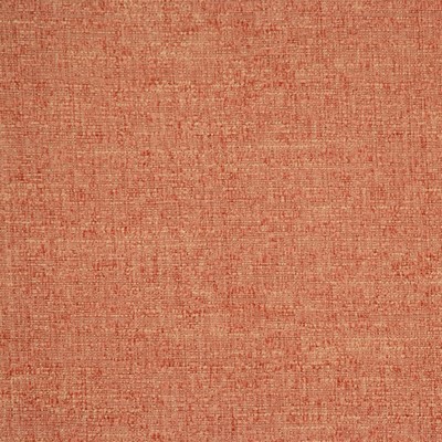 RM Coco ADAPTATION ADOBE