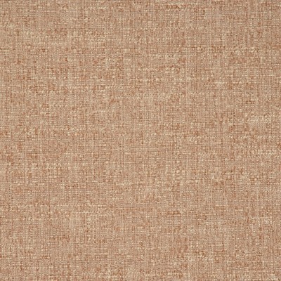 RM Coco ADAPTATION CHINCHILLA