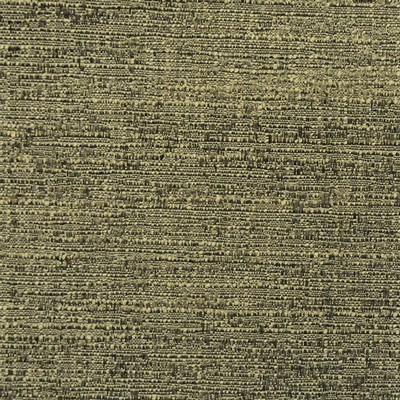 RM Coco SERENADE ENDIVE