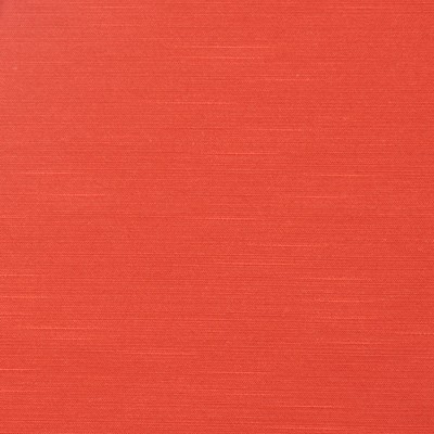 RM Coco HYBRID RADISH