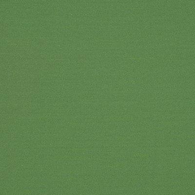 RM Coco HYBRID EVERGREEN