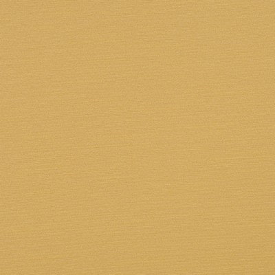 RM Coco HYBRID MUSTARD