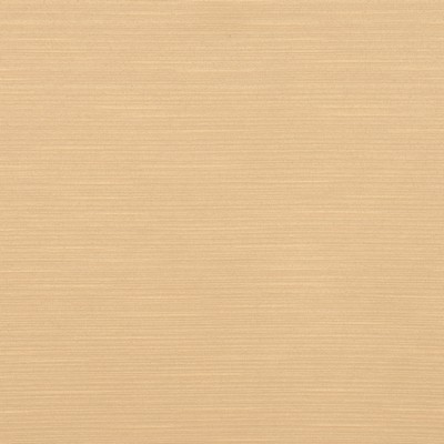 RM Coco HYBRID DIJON