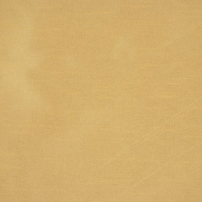 RM Coco GLEAM SUNFLOWER