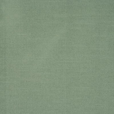 RM Coco GLEAM CACTUS