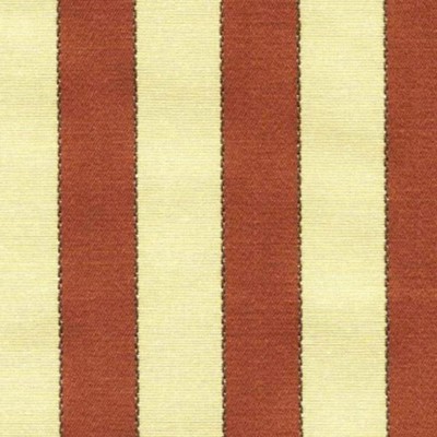 RM Coco BEAR IN MIND Sunbaked