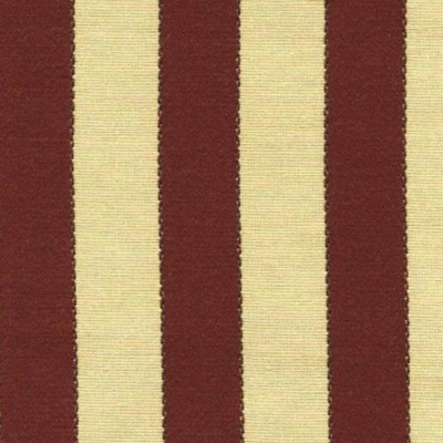 RM Coco BEAR IN MIND Napa