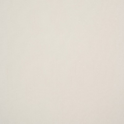 RM Coco AIDEN CHAMPAGNE