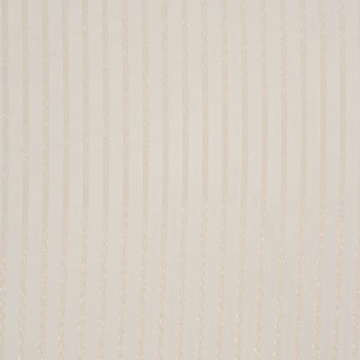 RM Coco ESTEFAN BUFF