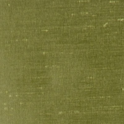 RM Coco CHIMERA CELERY